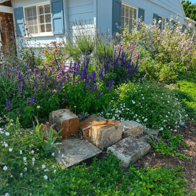 GARDEN DESIGN